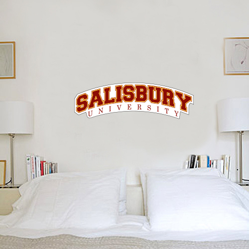  1.5 ft x 4 ft Fan WallSkinz - Arched Salisbury University