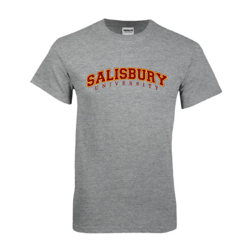 Main Image for  Grey T Shirt