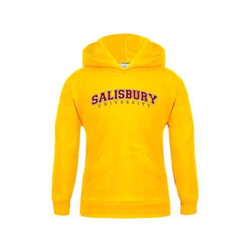  Youth Gold Fleece Hoodie - Arched Salisbury University