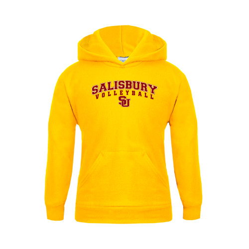  Youth Gold Fleece Hoodie - Volleyball