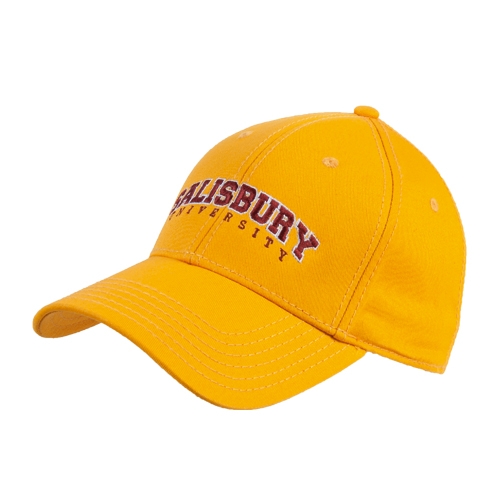 Gold Structured Adjustable Pro Style Hat - Arched Salisbury University