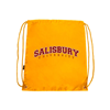 Thumbnail image for  Gold Drawstring Backpack