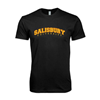 Thumbnail image for  Next Level Black SoftStyle T Shirt