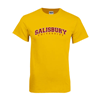 Thumbnail image for  Gold T-Shirt