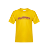 Thumbnail image for  Youth Gold T-Shirt