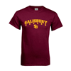 Thumbnail image for  Maroon T Shirt