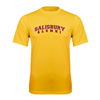Thumbnail image for  Gold Performance Tee