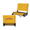 Thumbnail image for  Stadium Chair Gold