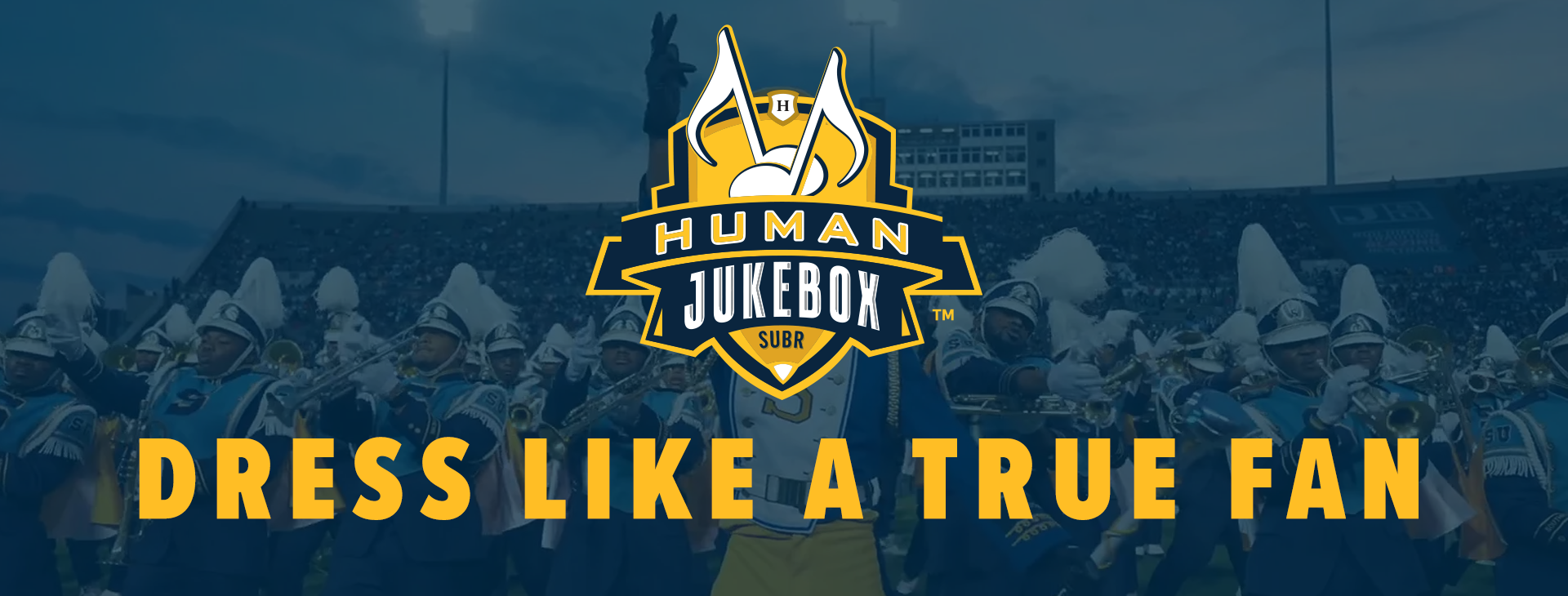 Promotional banner