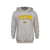 Thumbnail image for  Youth Grey Fleece Hood