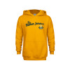 Thumbnail image for  Youth Gold Fleece Hoodie
