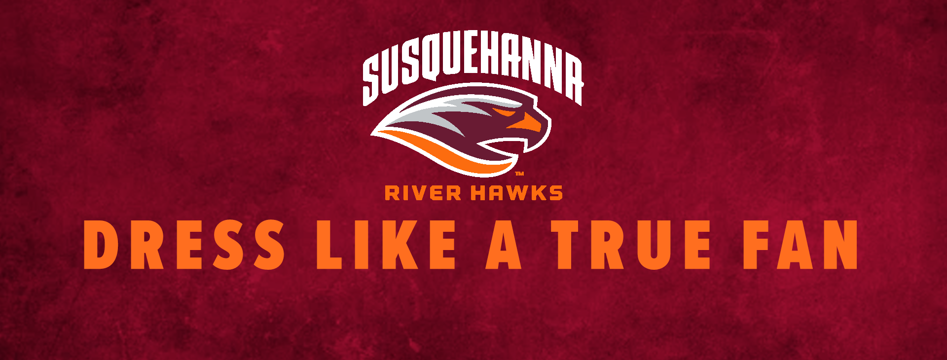 Promotional banner