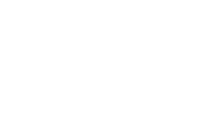 Southern Virginia Knights