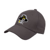 Thumbnail image for  Charcoal Structured Adjustable Pro Style Hat