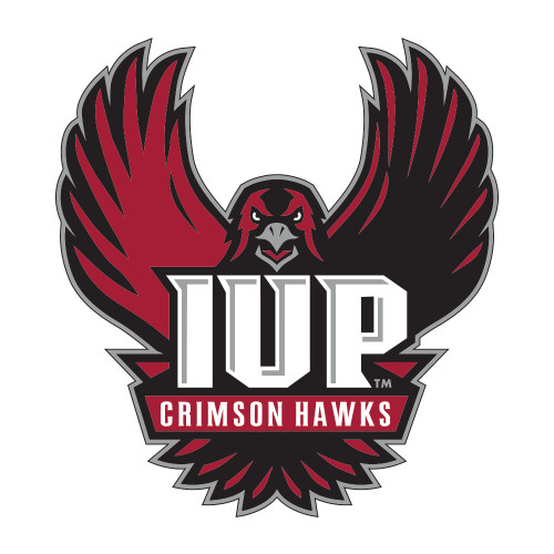  Medium Decal - IUP Hawk Wings