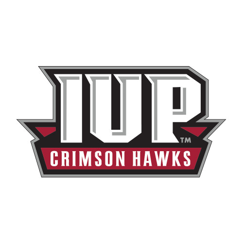  Medium Decal - IUP Hawks Banner