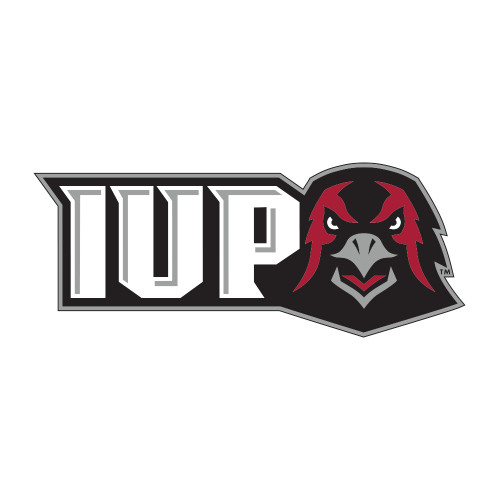  Medium Decal - IUP Hawk Head