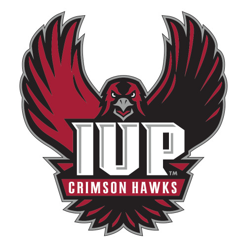  Large Decal - IUP Hawk Wings