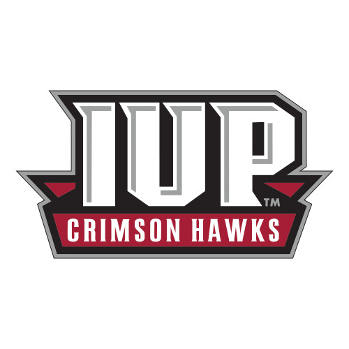  Large Decal - IUP Hawks Banner