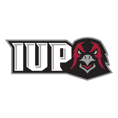  Large Decal - IUP Hawk Head