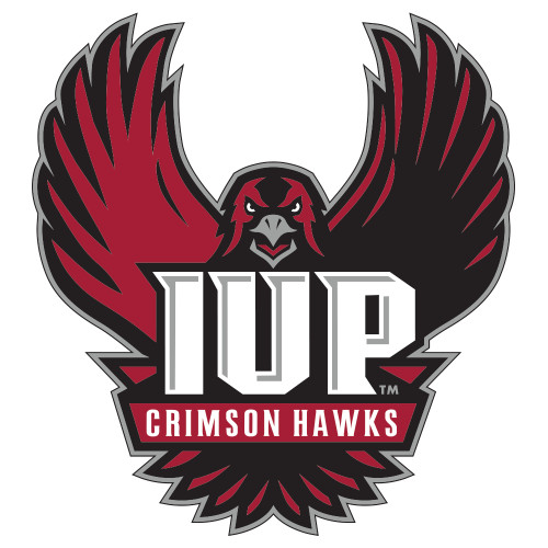  Extra Large Decal - IUP Hawk Wings