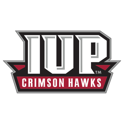  Extra Large Decal - IUP Hawks Banner