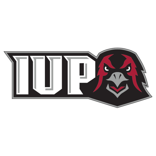  Extra Large Decal - IUP Hawk Head