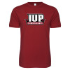 Thumbnail image for  Next Level Cardinal SoftStyle T Shirt