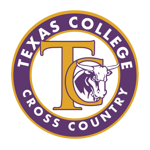  Medium Decal - TC Softball