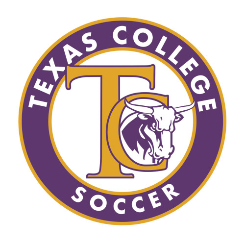  Medium Decal - TC Soccer