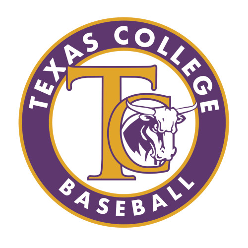  Medium Decal - TC Baseball