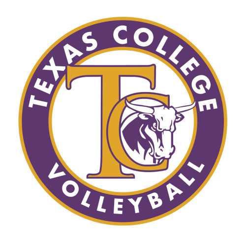  Medium Decal - TC Volleyball
