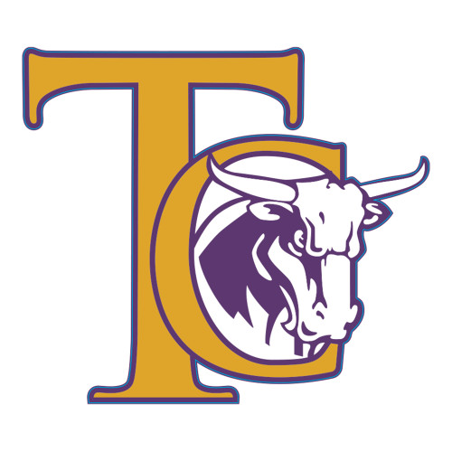  Large Decal - TC