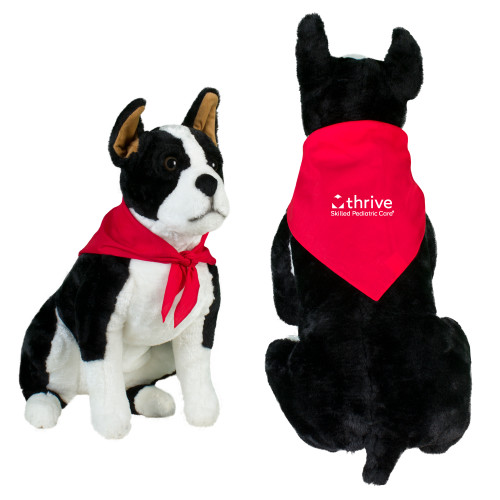 Red Pet Bandana-Skilled Pediatric Care