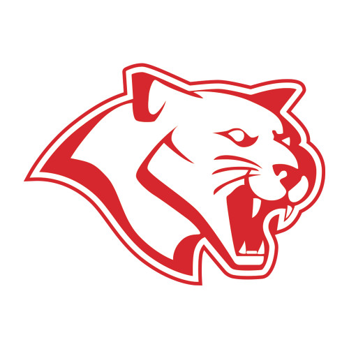  Medium Decal - Cougar