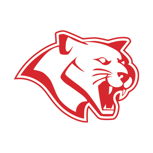  Small Decal - Cougar
