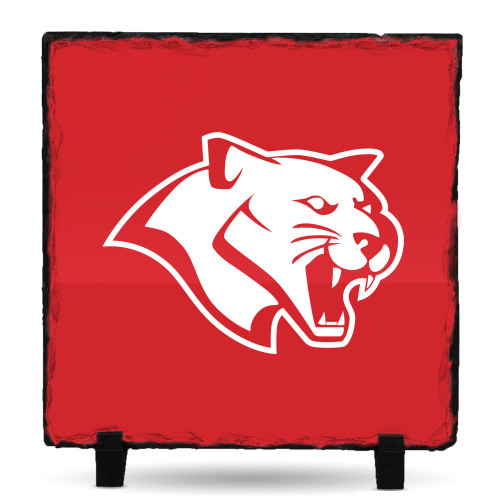  Photo Slate - Cougar