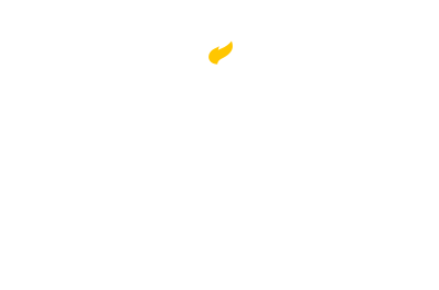 Touro Univ Fans