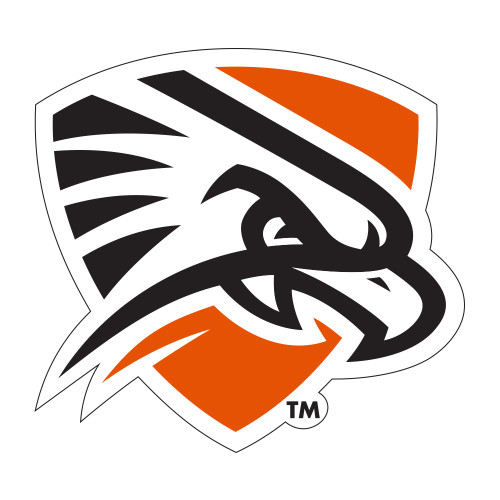  Medium Decal - Falcon Shield