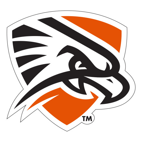  Large Decal - Falcon Shield