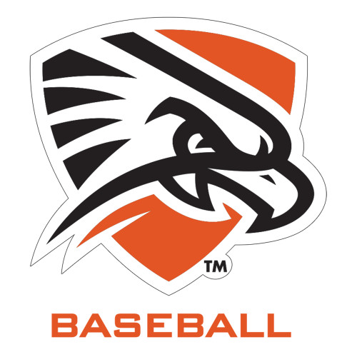  Large Decal - Baseball