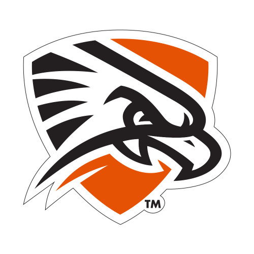  Small Decal - Falcon Shield