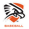 Thumbnail image for  Medium Decal