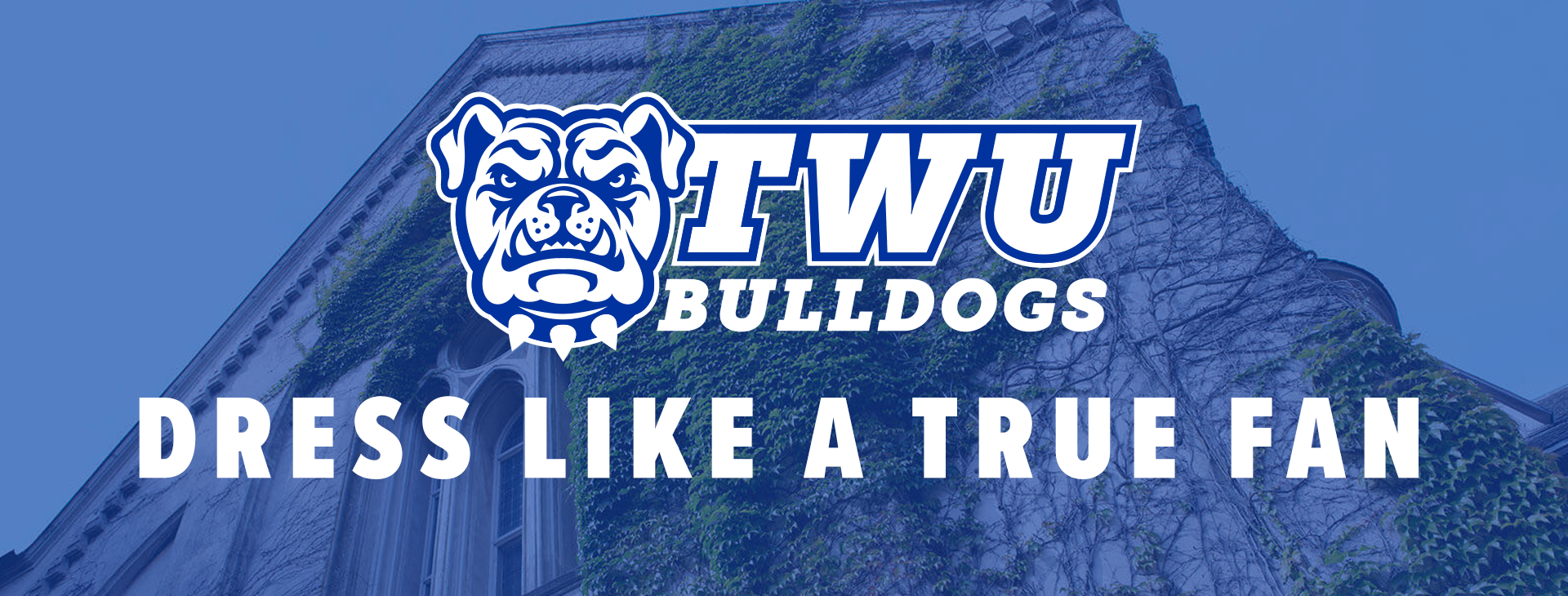 Promotional banner