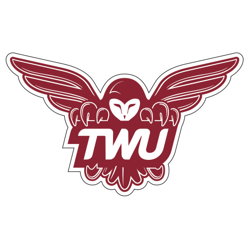  Extra Large Decal - Owl TWU