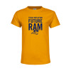 Thumbnail image for  Youth Gold T-Shirt