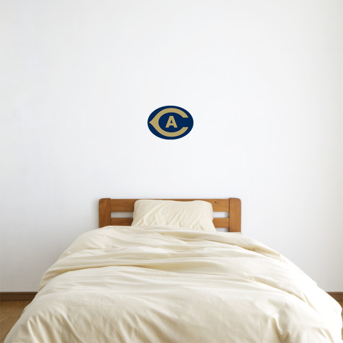  1 ft x 1 ft Fan WallSkinz - Secondary Athletics Mark