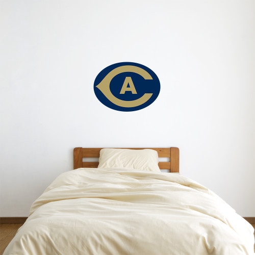  2 ft x 2 ft Fan WallSkinz - Secondary Athletics Mark