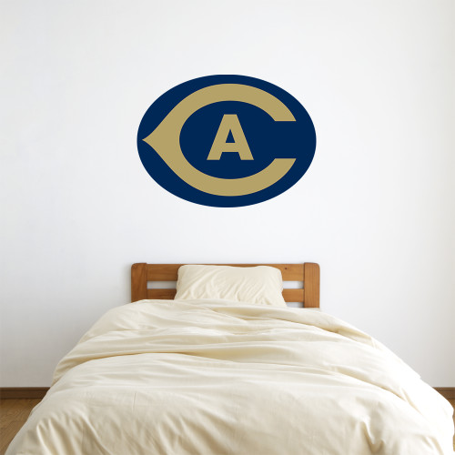  3 ft x 3 ft Fan WallSkinz - Secondary Athletics Mark