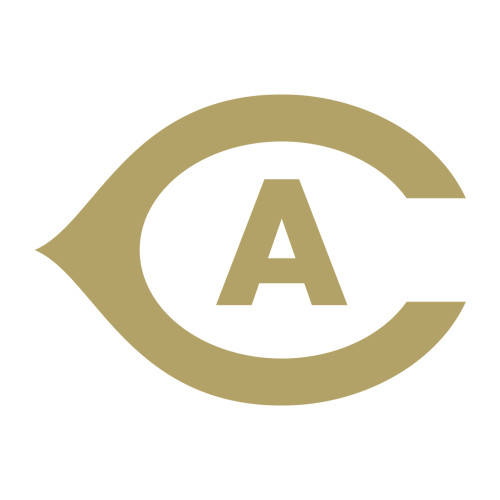  Medium Decal - Secondary Athletics Mark